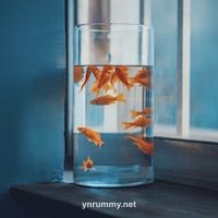 User Mai Xuân Trang