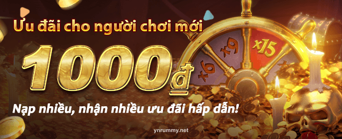 ynrummy Mobile Banner 0801-VN6